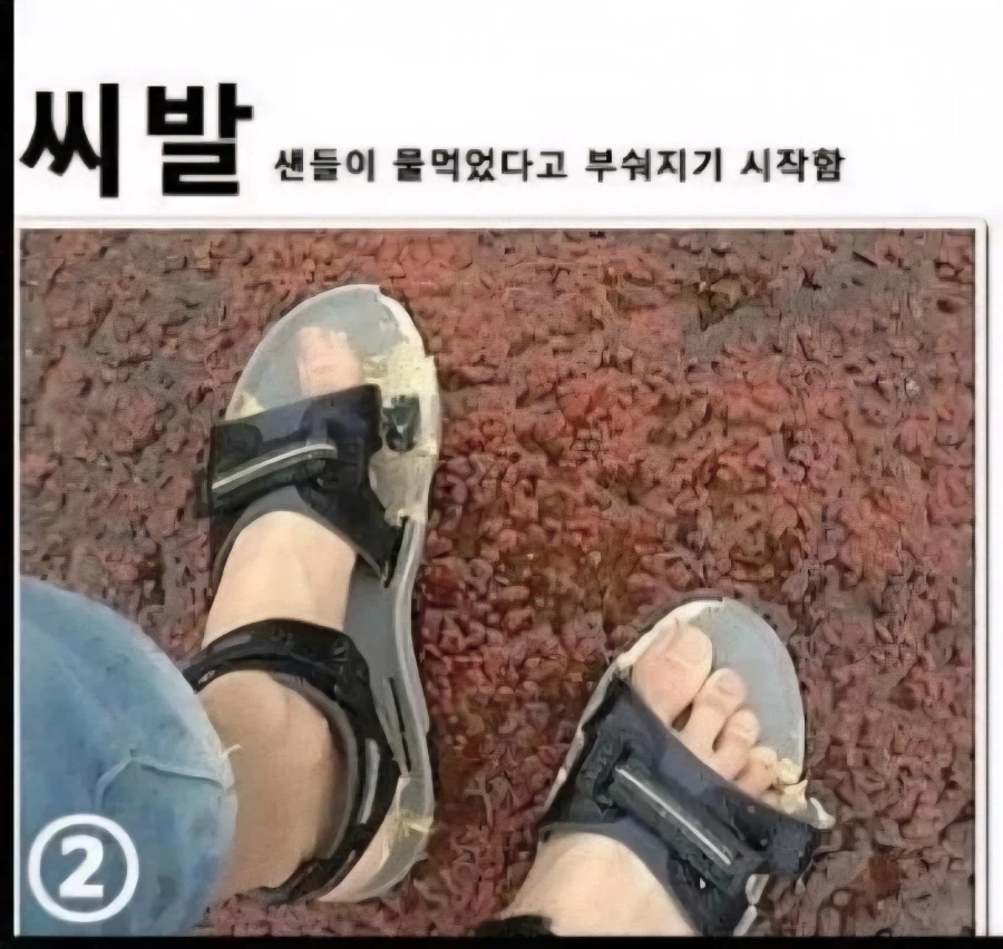 샌들의 진화_2.webp