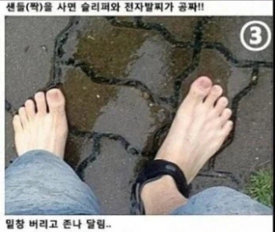 샌들의 진화_3.webp