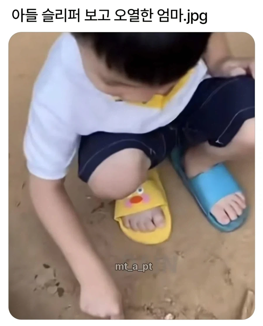 아들 슬리퍼보고 오열한 엄마_1.webp
