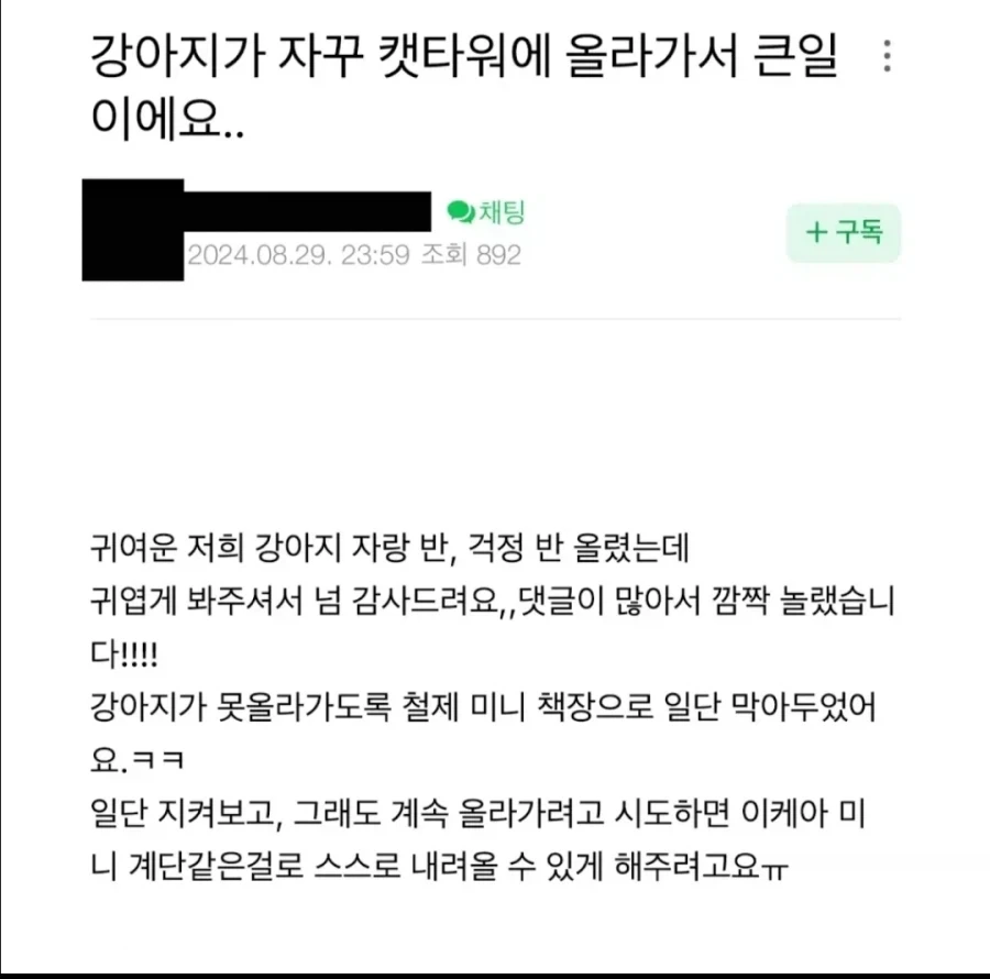 골댕이는 즐겁고 고양이는 표독한 이유_2.webp