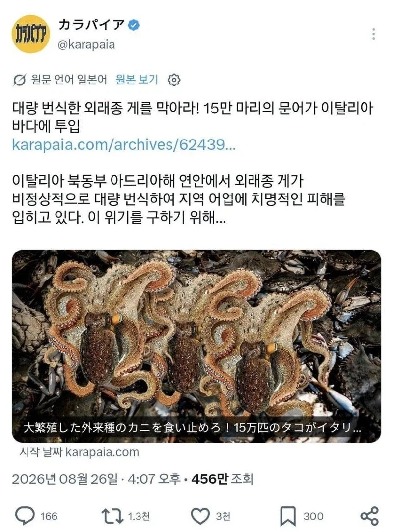 또 꽃게 많다고 징징대는 이탈리아 보고 달려드는 한중일 사람들_1.webp
