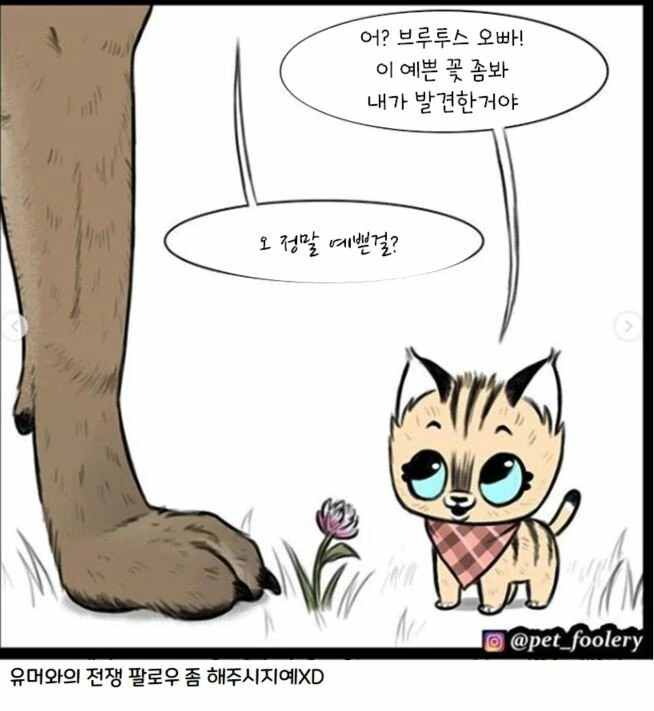 manga_62280_027.webp