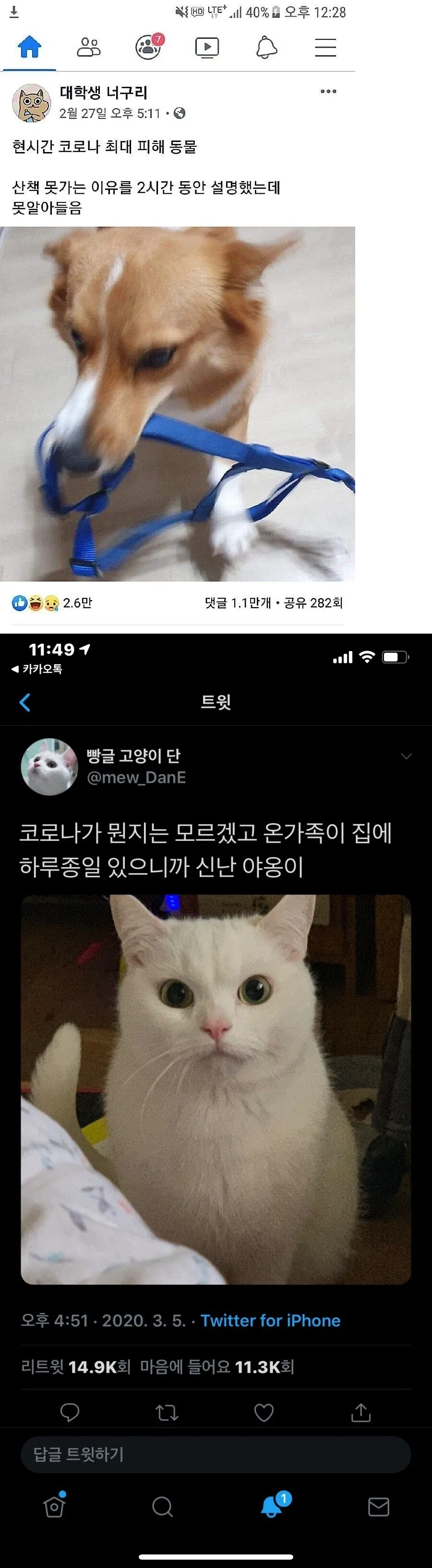 코로나시기 의문의 피해자와 수혜자_1.webp