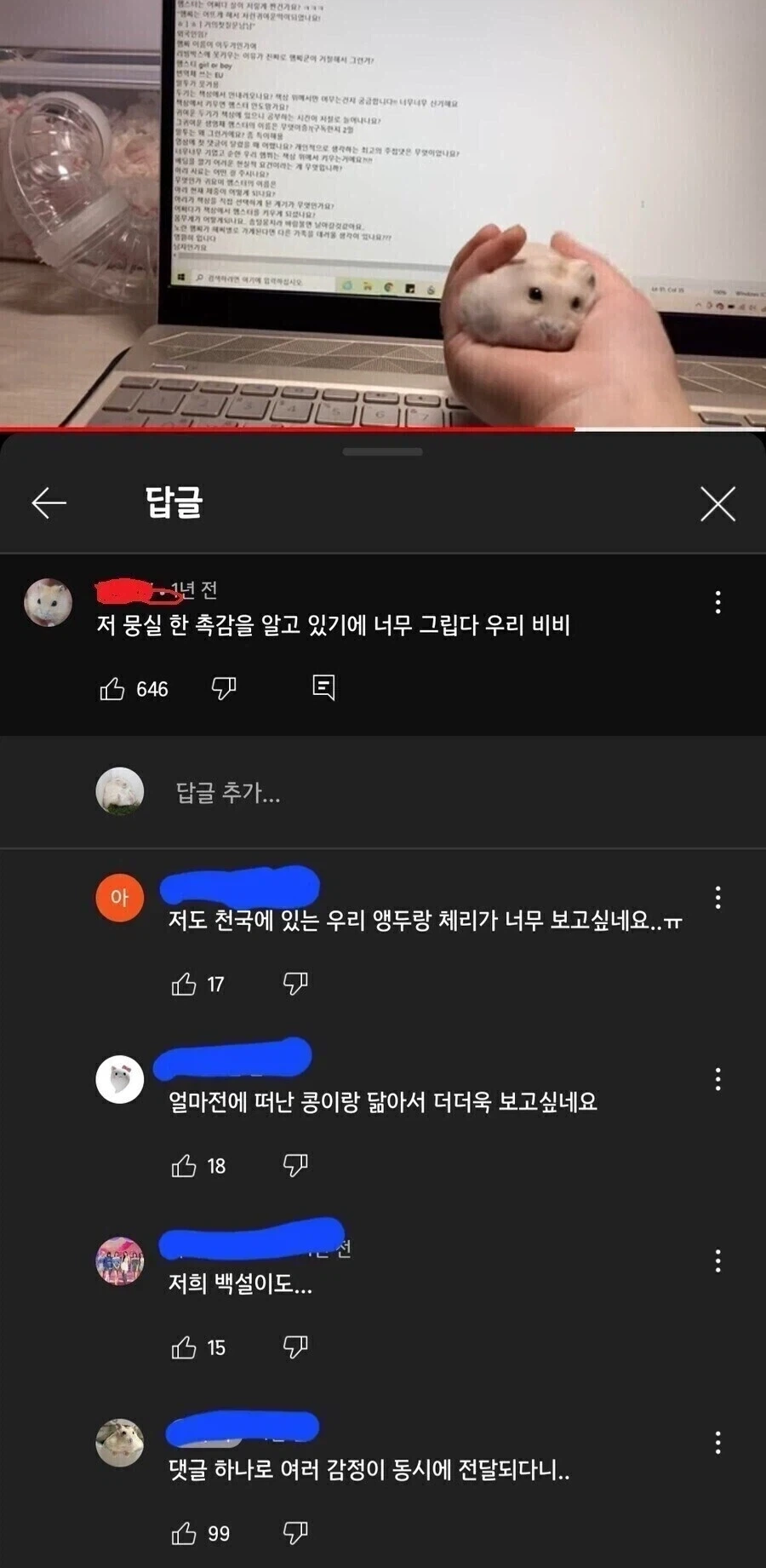 죽은 햄서터를 그리워하는 집사들_1.webp