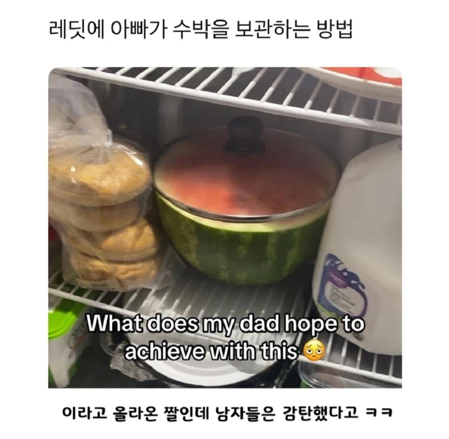 아빠가 수박을 보관하는 방법_1.webp