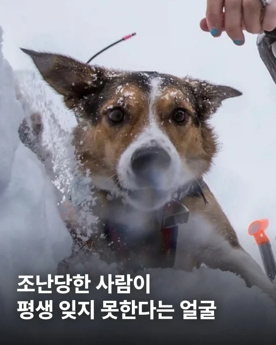 조난당한 사람이 평생 잊지 못한다는 얼굴_1.webp