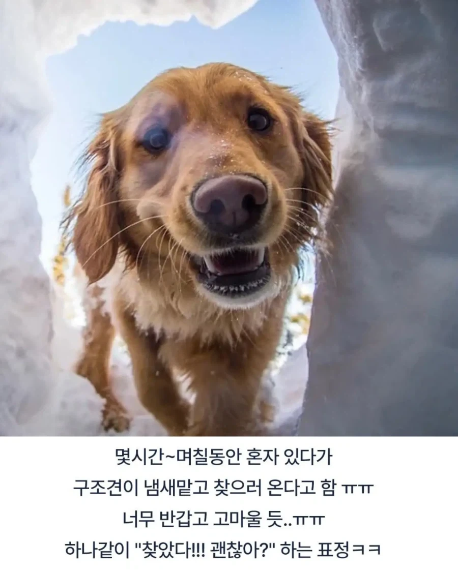 조난당한 사람이 평생 잊지 못한다는 얼굴_3.webp