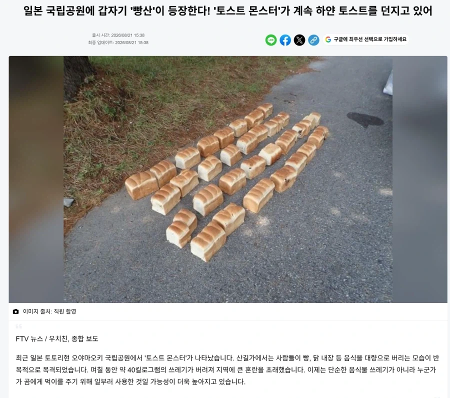 일본 국립공원에 등장한 곰맘_1.webp