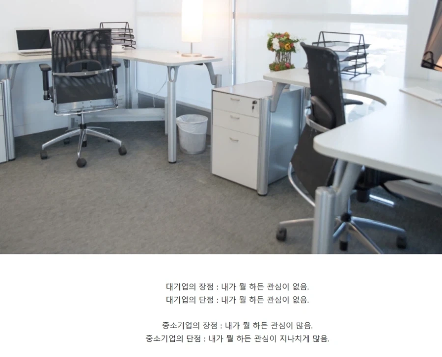 대기업 중소기업 차이라고하네_1.webp