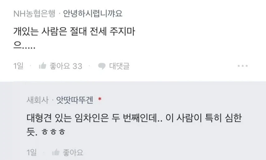 리트리버와 단 둘이 살았던 임차인.jpg_7.webp