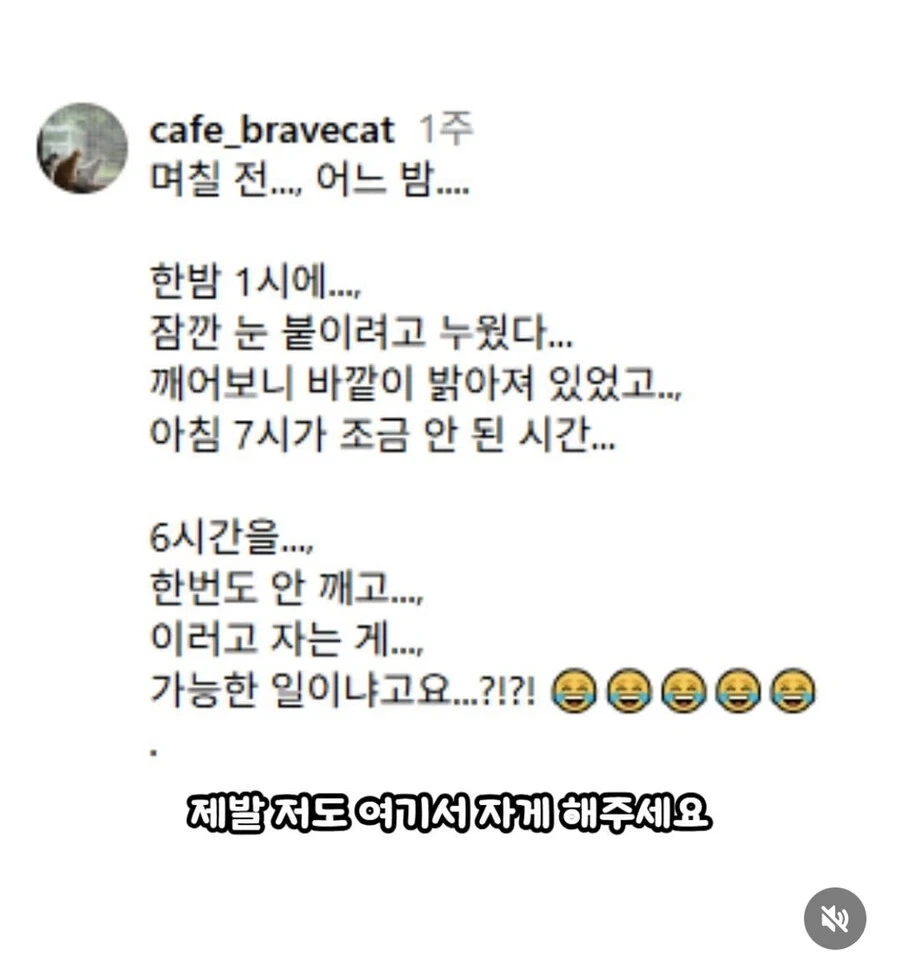 고양이 쉼터에서 6시간 잔사람_5.webp