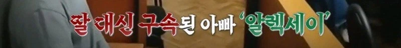 미술 숙제로 그린 딸의 그림 때문에 구속된 아버지 jpg._17.webp