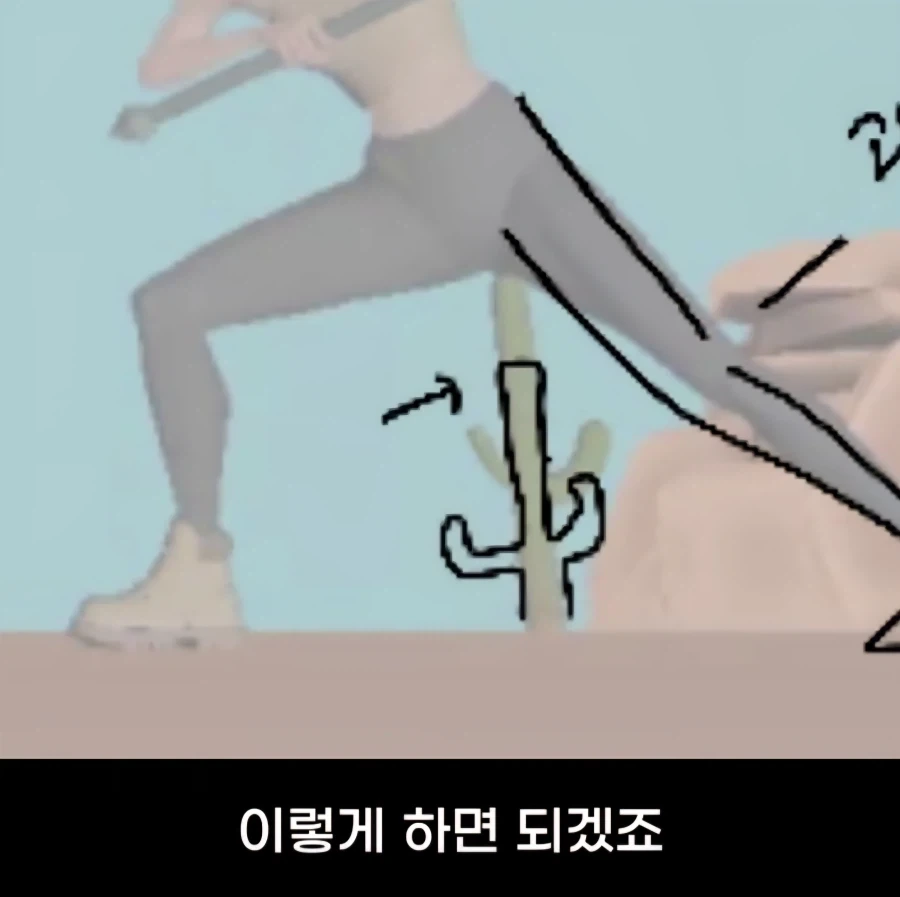 선인장을 자꾸 숭한곳에 배치하는 여학생_3.webp