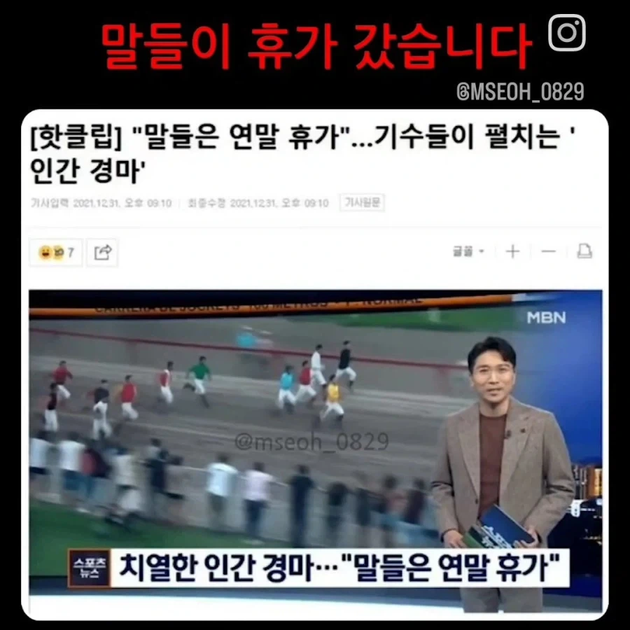 경주마들이 연말 휴가를 가면 벌어지는 현상 jpg._1.webp