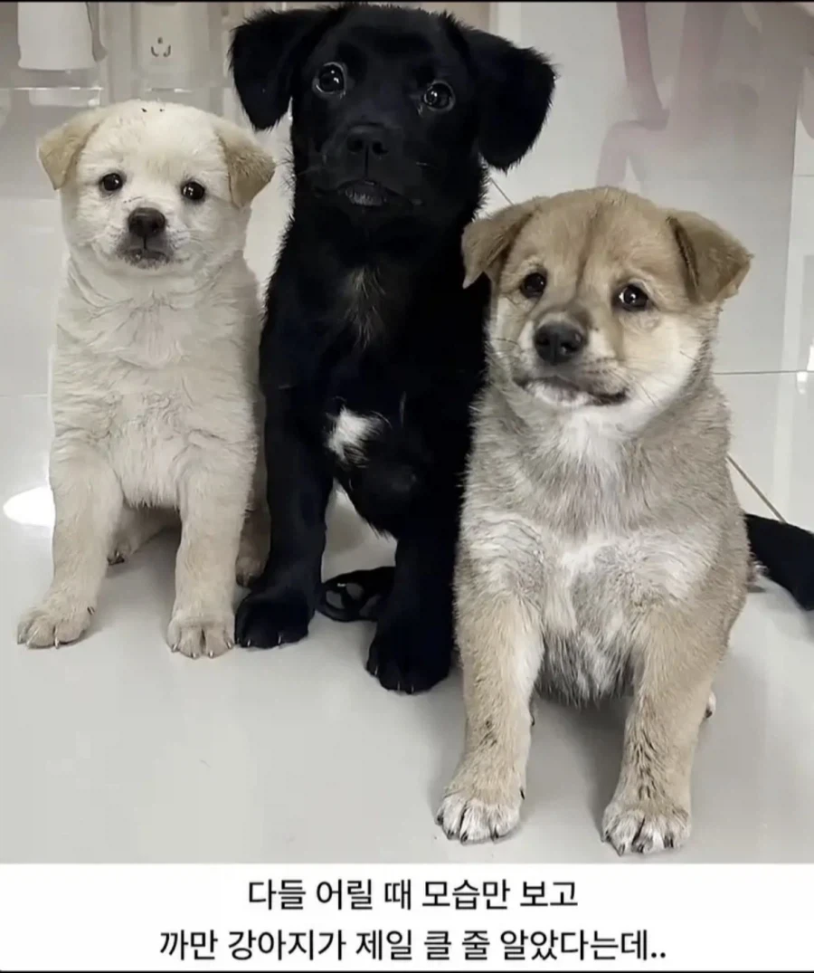 ???: 엄마 왜 나는 안컸을까요…?_1.webp