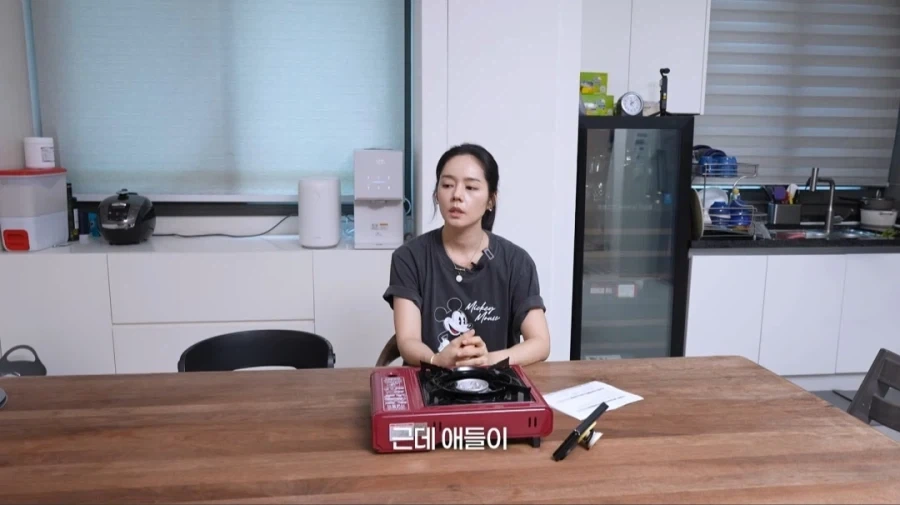 한가인이 유튜브에서 자녀 얼굴 공개 안하는 이유_9.webp