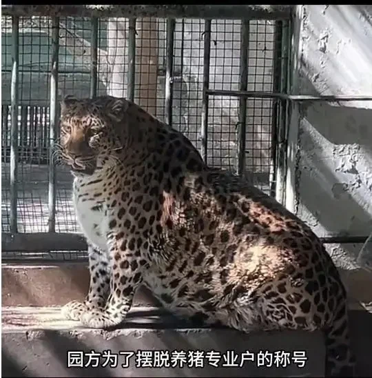사료 민영화한 동물원의 최후_1.webp