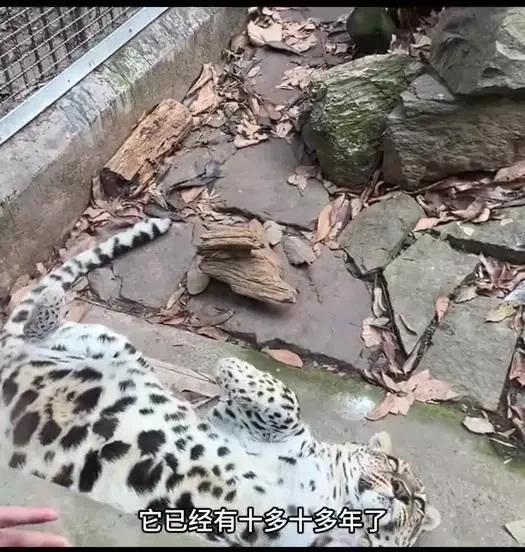 사료 민영화한 동물원의 최후_2.webp