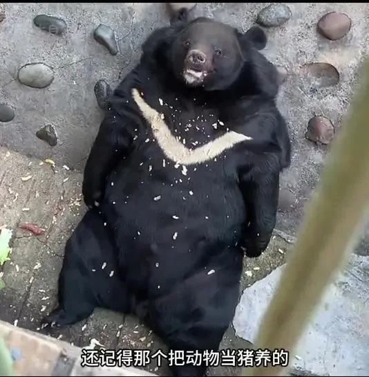 사료 민영화한 동물원의 최후_4.webp