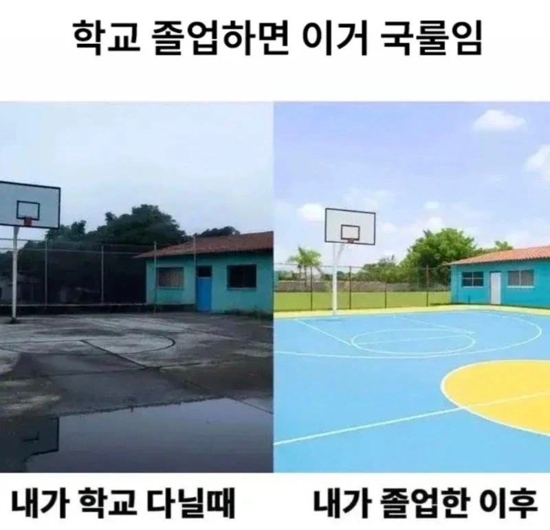 학교 졸업하면 이거 국룰임_1.webp