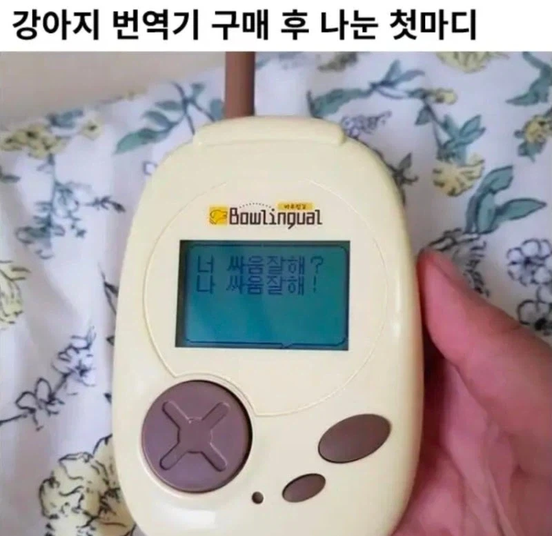 강아지 번역기 구매 후 나눈 첫마디_1.webp