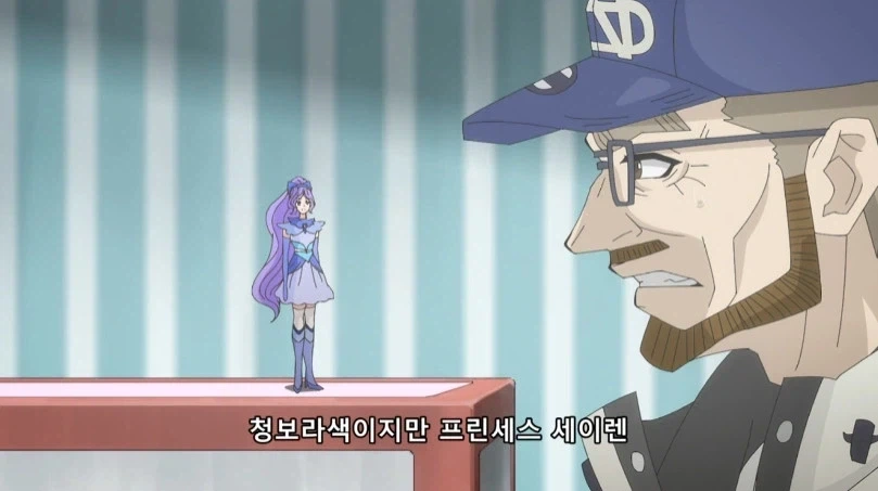 손자가 프리큐어 장난감을 사달라고 하는데 이름을 모른다_17.webp