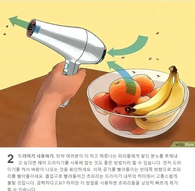 광기의 초파리 잡기_1.webp