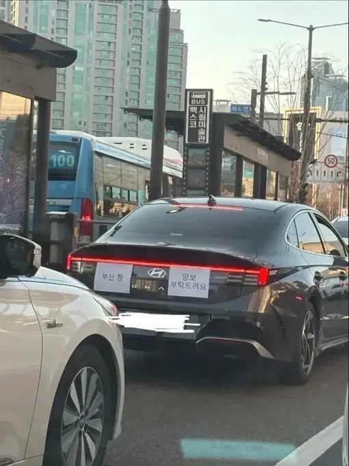부산에 놀러간 초보 운전자_1.webp