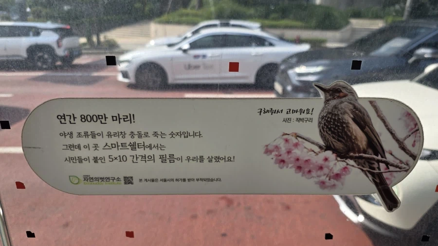 직박구리 폴더에서 사진 가져옴_1.webp