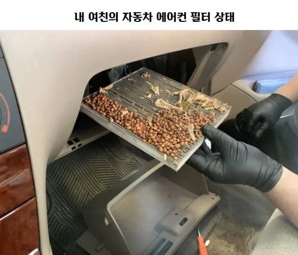 천조국 정비소의 흔한 일상(레딧번역)_2.webp