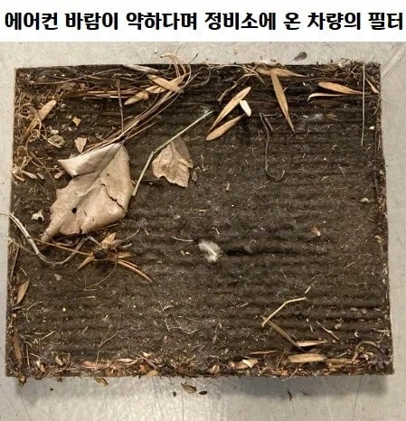 천조국 정비소의 흔한 일상(레딧번역)_13.webp