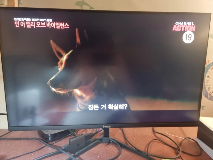 티비 키니까 재밌는거 하네_1.webp