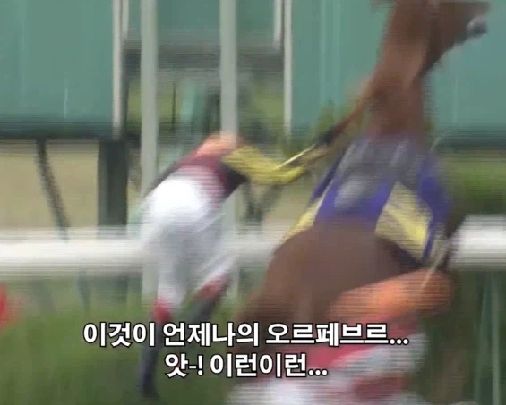 일본 경마계 전설로 회자되는 10년전 명마들_2.webp