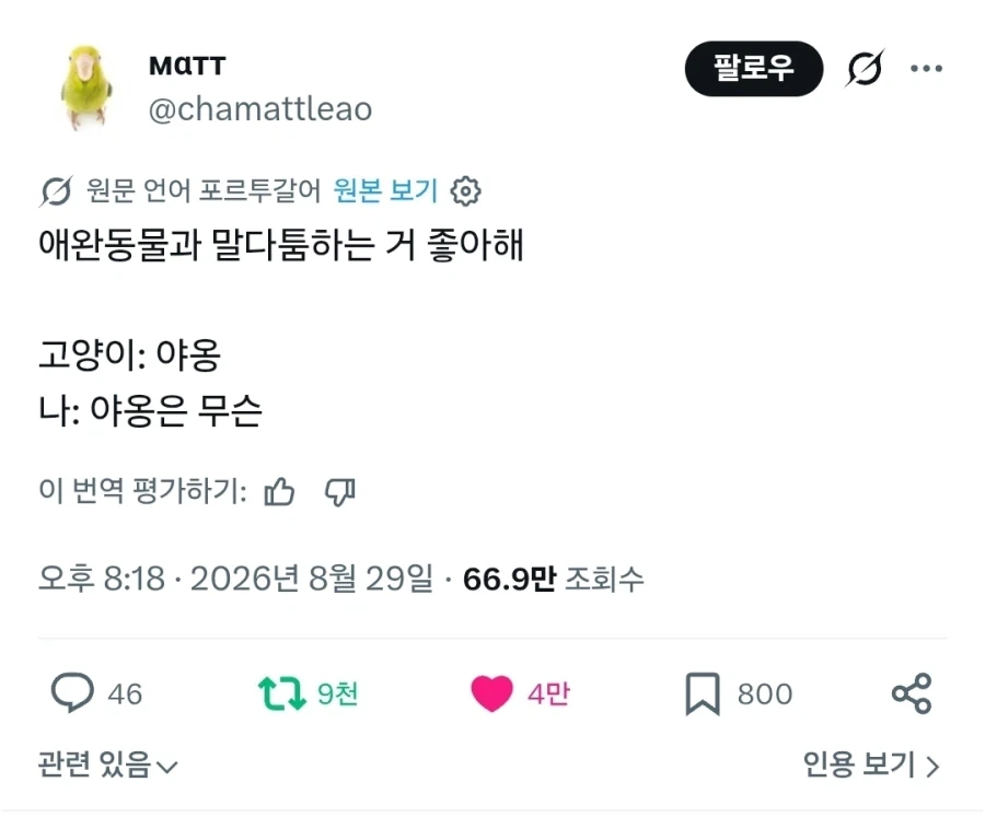 전 세계 동물 키우는 사람들이 다 한다는 것.jpg_1.webp
