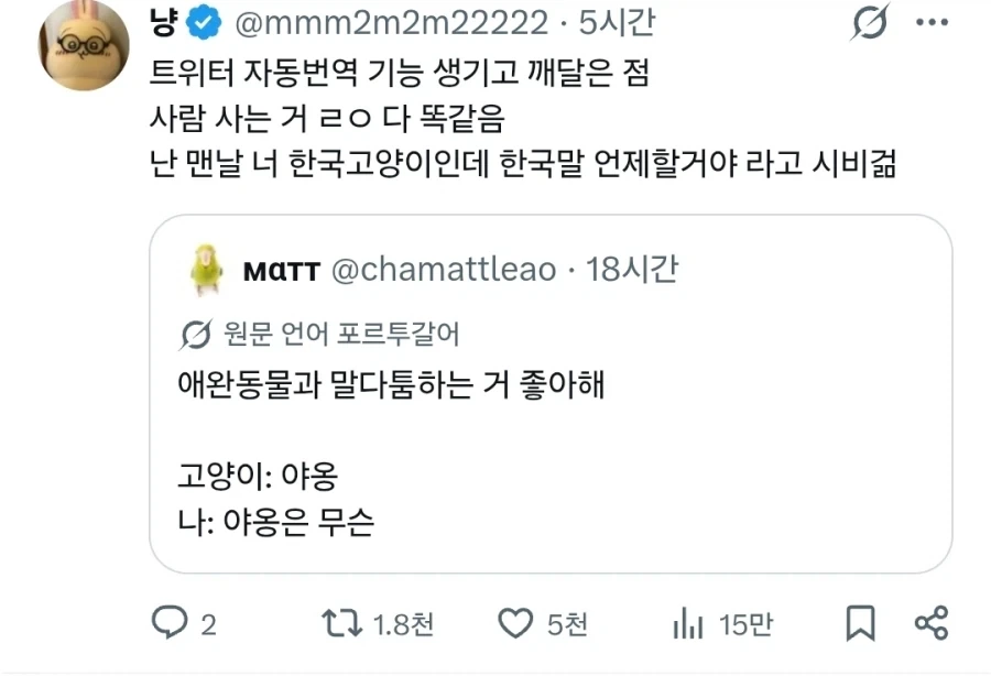 전 세계 동물 키우는 사람들이 다 한다는 것.jpg_2.webp