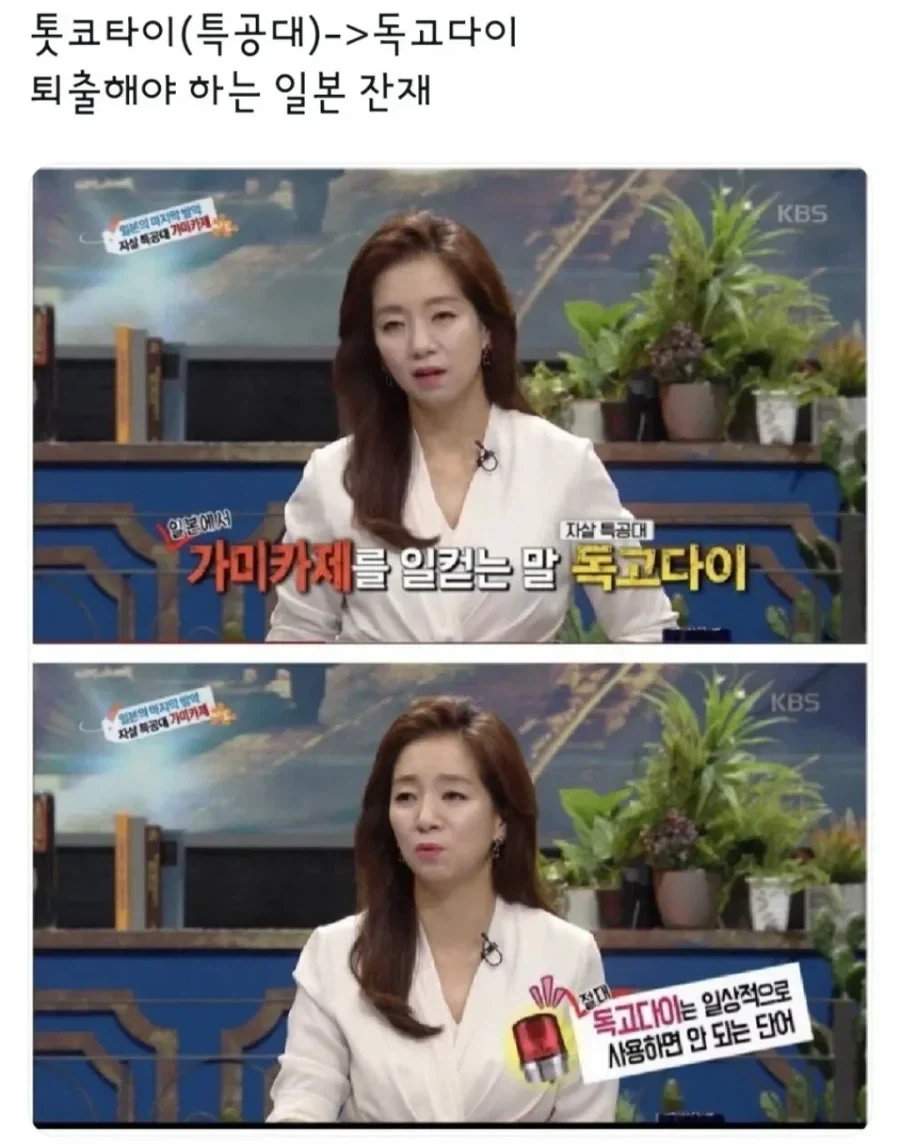 어원이 자살 특공대라는 단어.jpg_2.webp