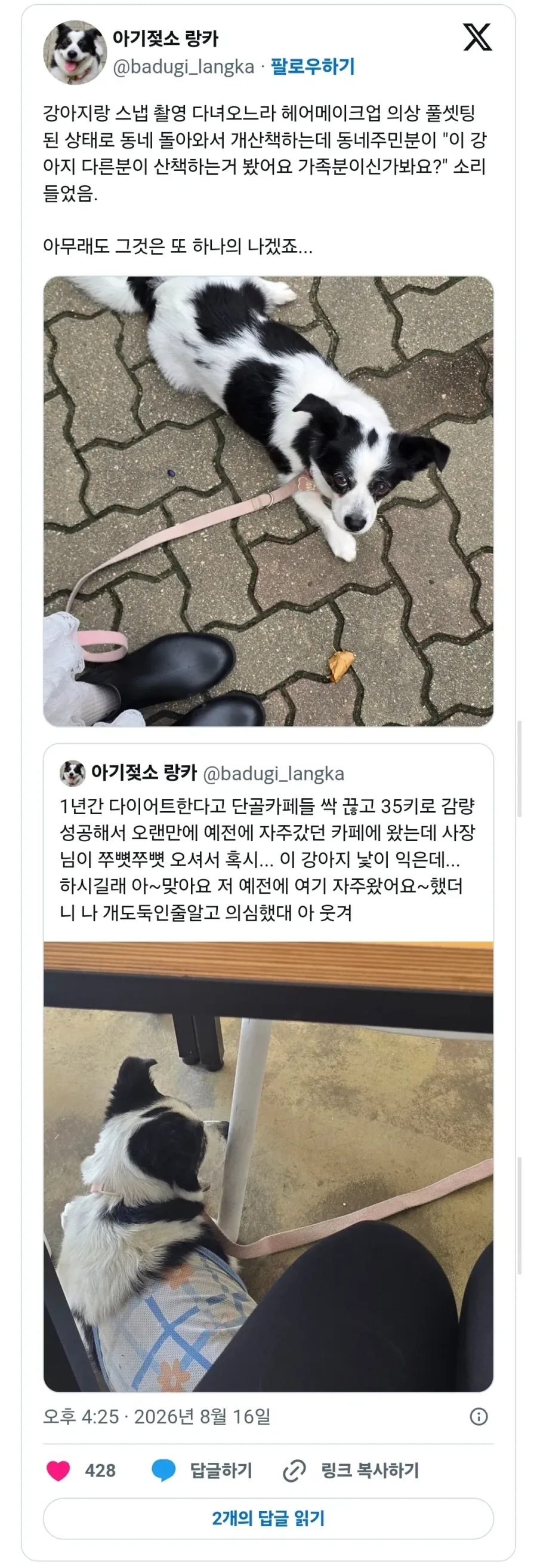한껏 꾸미고 강아지 산책가면 생기는 일._1.webp