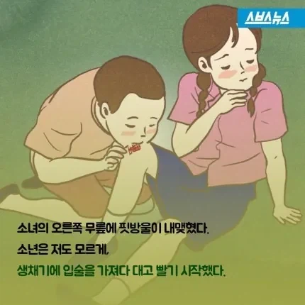 소설 소나기에서 소녀가 사망한 이유.jpg_1.webp
