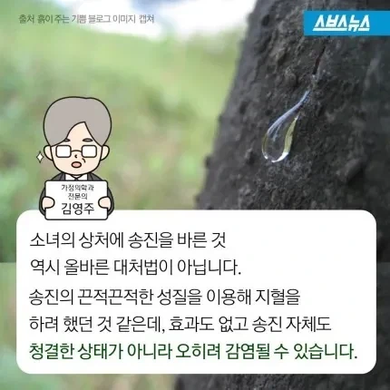 소설 소나기에서 소녀가 사망한 이유.jpg_4.webp