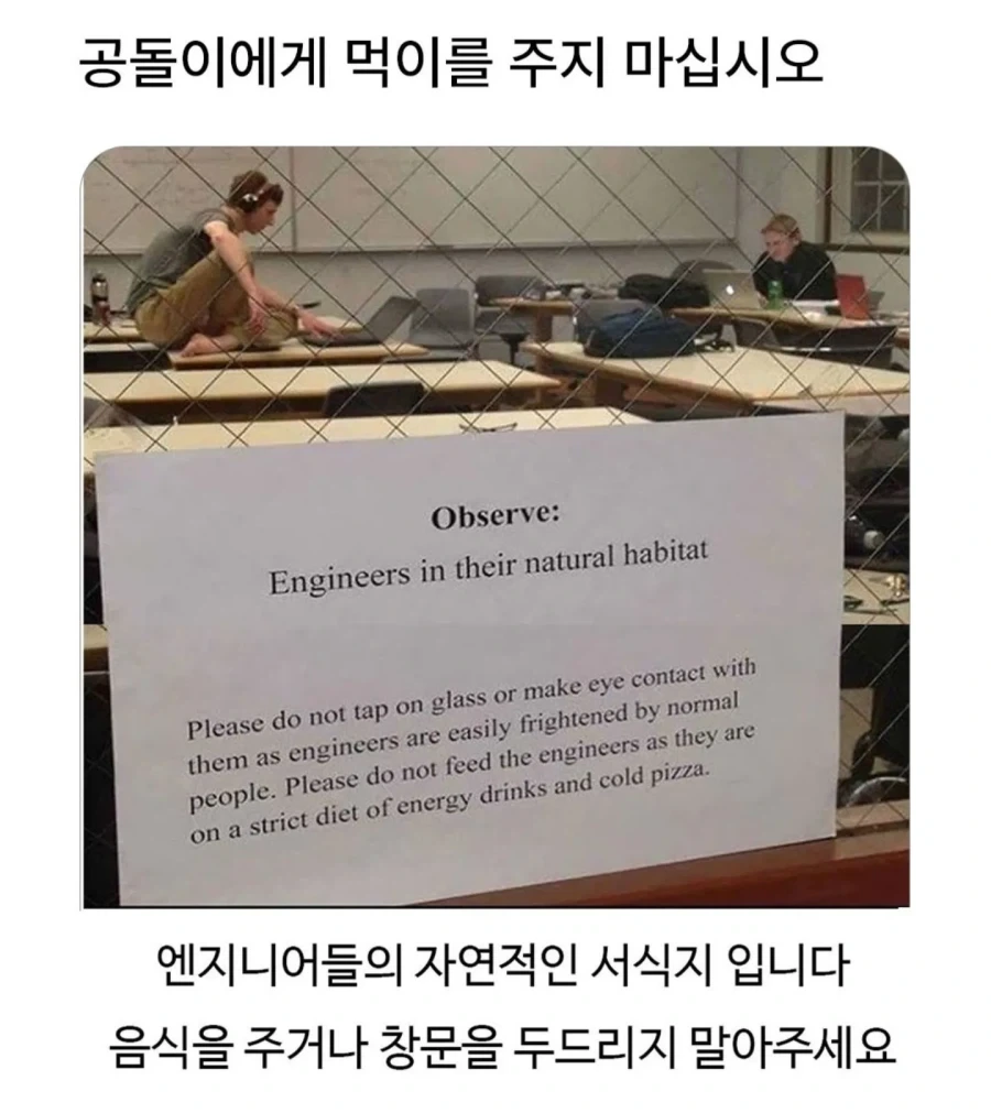 공돌이에게 먹이를 주지 마십시오_1.webp