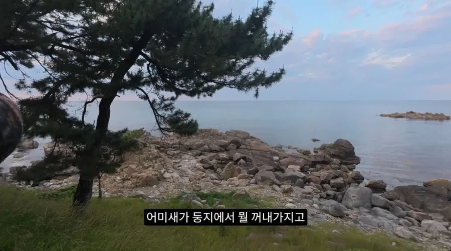 수리부엉이의 좋은 단백질 공급원_1.webp