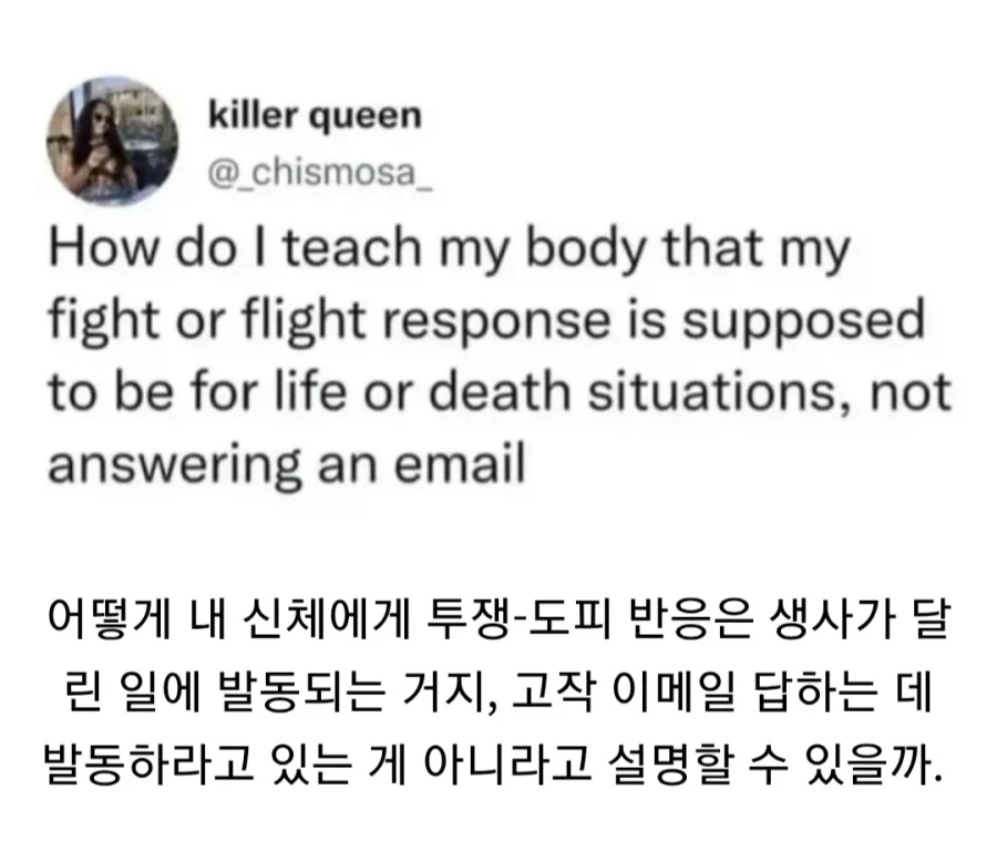 인간 뇌가 가끔씩 쓰레기 같은 점..._1.webp