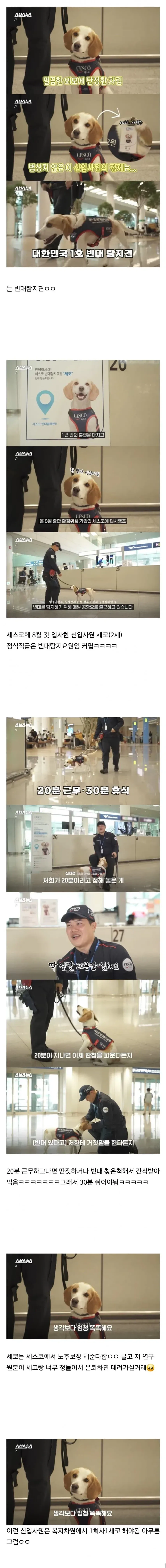 20분 일하면 30분 쉬려고 한다는 빈대 신입사원_1.webp