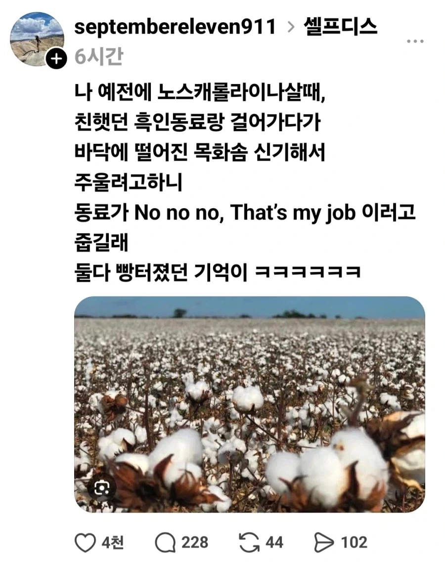 흑인:이민자들이 일자리를 뺏어가려고 한다.jpg_1.webp