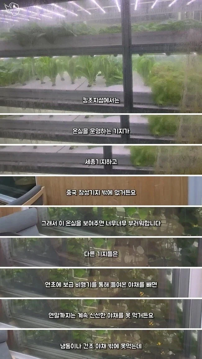 남극 세종기지에 온실을 운영하는 이유_1.webp