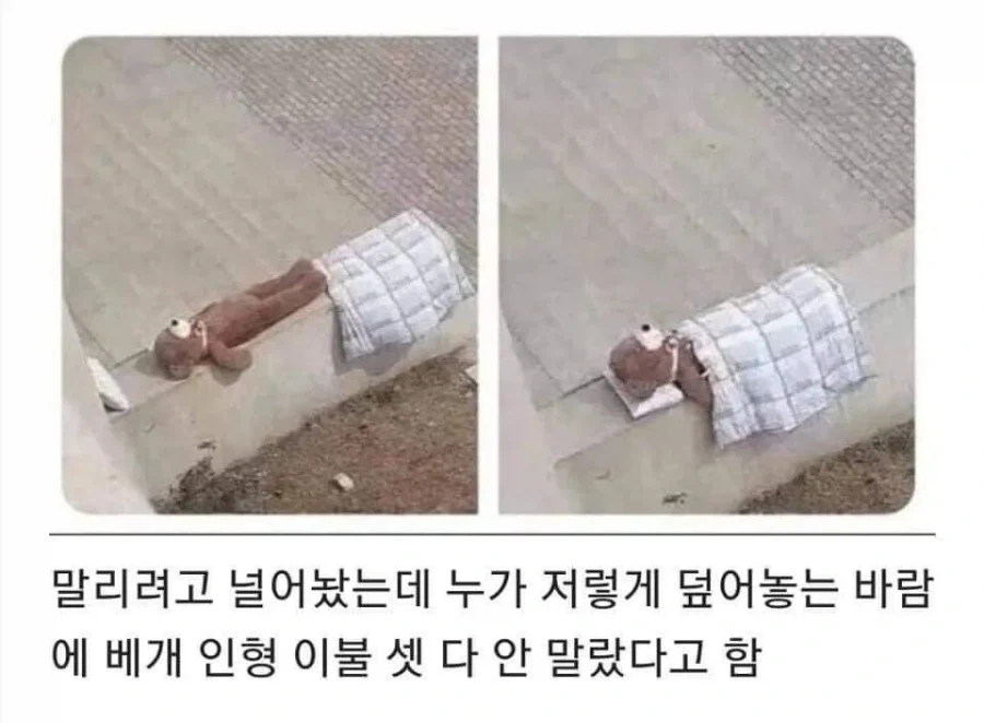 친절함이 부른 참사_1.webp