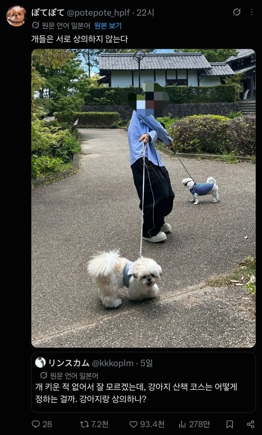 개랑 산책할 때, 코스는 개랑 상의하는거임 ?_1.webp