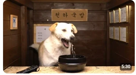 AI인줄알았는데 ㅋㅋㅋ_1.webp