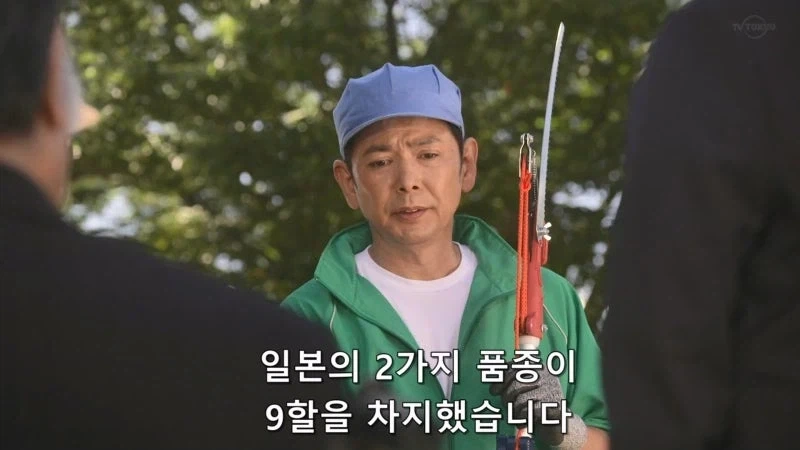 한국이 훔쳐갔다고 일본이 한결같이 말하는 과일_2.webp
