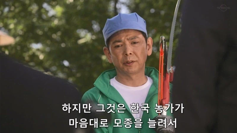 한국이 훔쳐갔다고 일본이 한결같이 말하는 과일_3.webp